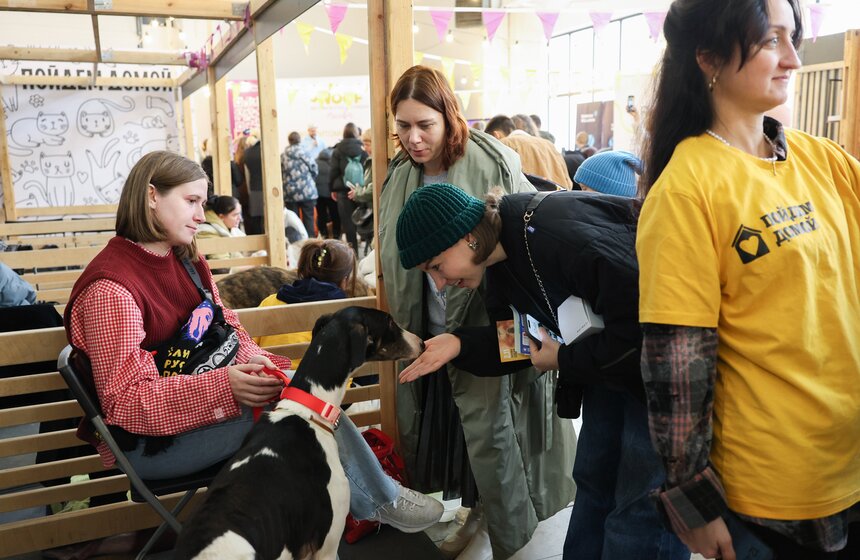 Благотворительный фестиваль Woof прошел в Москве в поддержку животных из приютов 17 фото