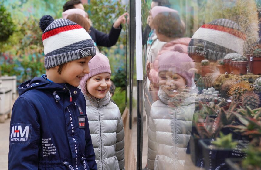 Выставка кактусов и других суккулентов стартовала в "Аптекарском огороде" в Москве 10 фото