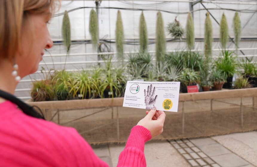 Выставка кактусов и других суккулентов стартовала в "Аптекарском огороде" в Москве 2 фото