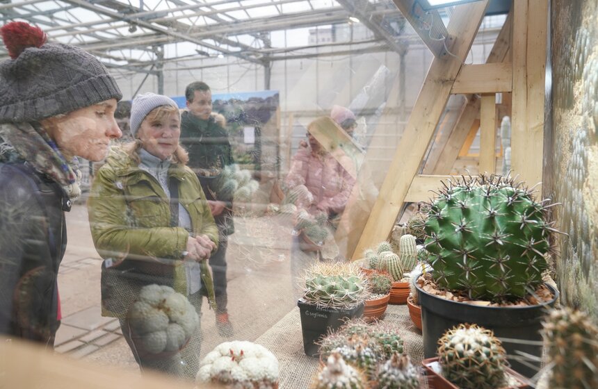 Выставка кактусов и других суккулентов стартовала в "Аптекарском огороде" в Москве 11 фото