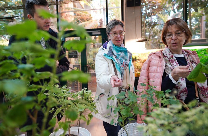 Выставка кактусов и других суккулентов стартовала в "Аптекарском огороде" в Москве 20 фото