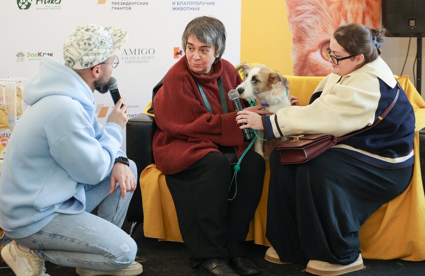 Благотворительный фестиваль Woof прошел в Москве в поддержку животных из приютов 13 фото