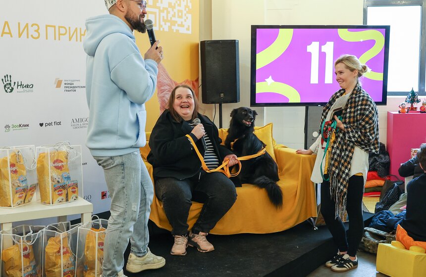 Благотворительный фестиваль Woof прошел в Москве в поддержку животных из приютов 27 фото