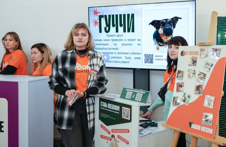 Благотворительный фестиваль Woof прошел в Москве в поддержку животных из приютов 5 фото