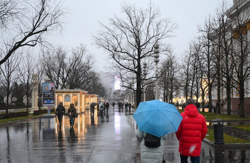 Территорию ВДНХ украсили к зимним праздникам 4 фото