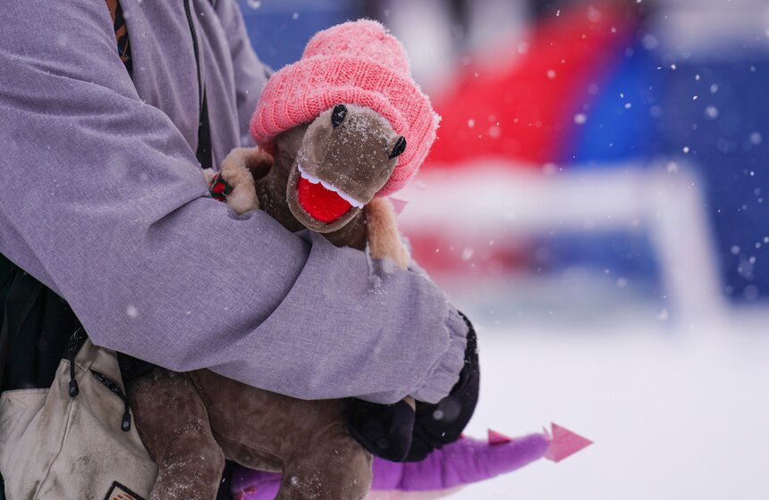 Фестиваль "Ледовая Москва. В кругу семьи" стартовал в Москве 5 фото