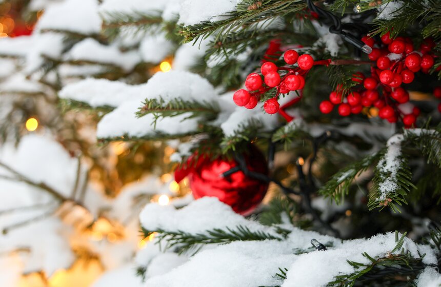 Активная программа последних праздничных выходных завершилась на Пушкинской набережной 8 фото