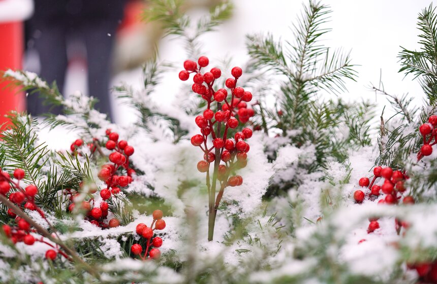 Фестиваль "Фолково" состоялся в столичном парке "Сокольники" 24 фото