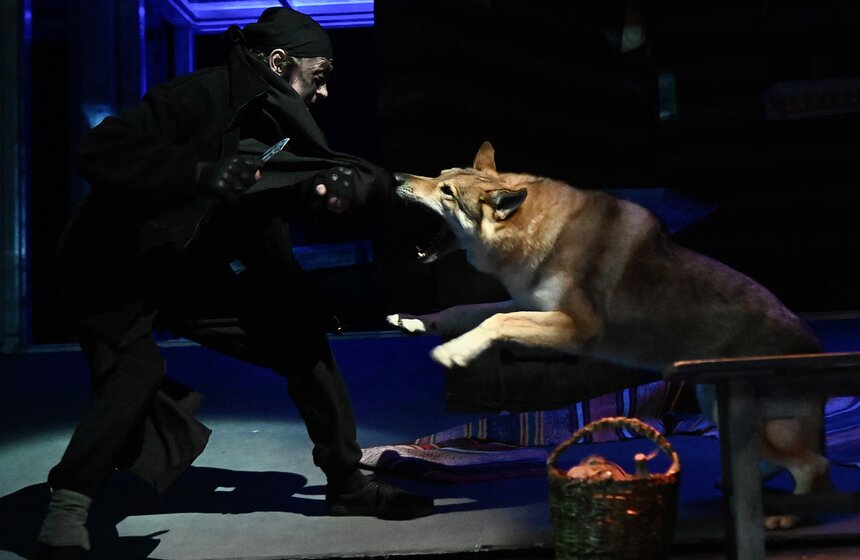 Премьера спектакля "Лавр" состоялась в Театре на Малой Ордынке 7 фото