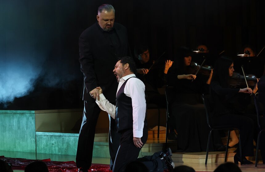 Оперу Моцарта "Дон Жуан" исполнили в зале "Зарядье" 33 фото