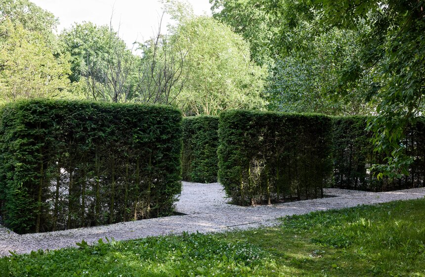 Авторская экскурсия "Зеленый маршрут с Дмитрием Губерниевым" состоялась в Москве 11 фото