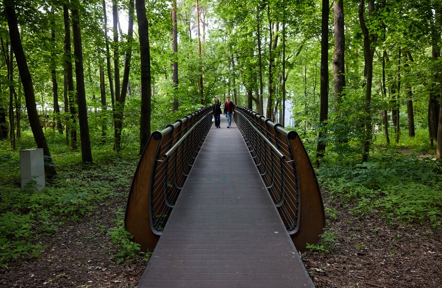 Авторская экскурсия "Зеленый маршрут с Дмитрием Губерниевым" состоялась в Москве 15 фото