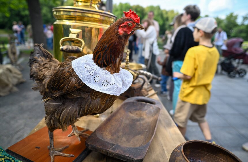 Иммерсивный фестиваль "Шереметев-фест" прошел в парке "Останкино" 10 фото