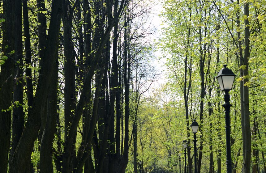 В  "Царицыно" открылась танцевальная площадка 19 фото