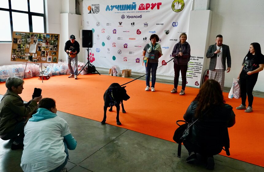 Фестиваль "Лучший друг" состоялся на площадке пространства "Хлебозавод" 15 фото