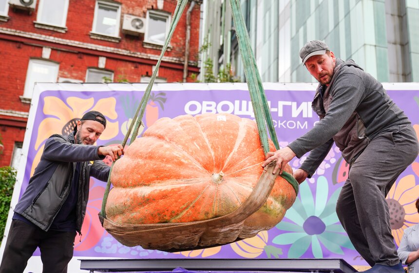Тыкву весом 969 кг представили на выставке "Овощи-гиганты" 18 фото
