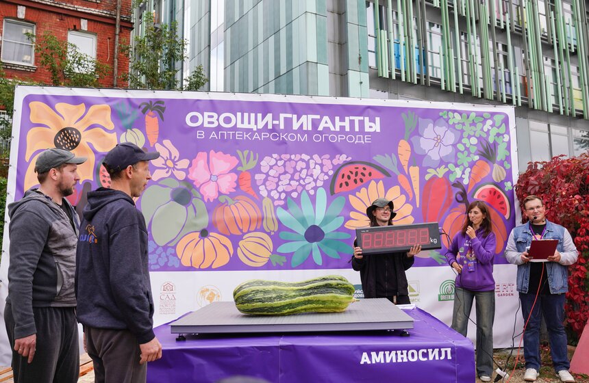 Тыкву весом 969 кг представили на выставке "Овощи-гиганты" 3 фото