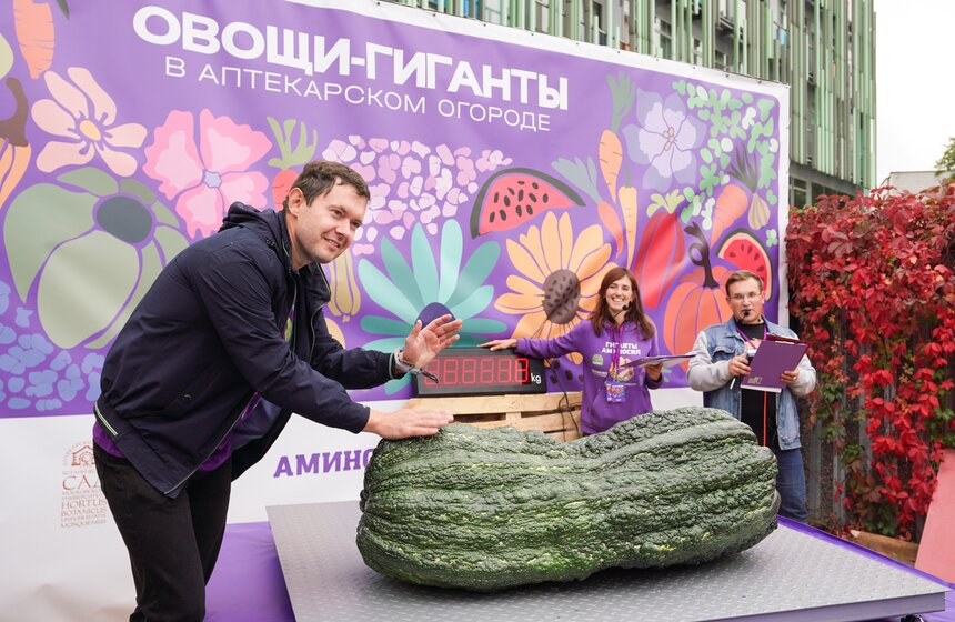 Тыкву весом 969 кг представили на выставке "Овощи-гиганты" 5 фото