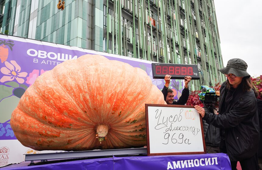 Тыкву весом 969 кг представили на выставке "Овощи-гиганты" 20 фото
