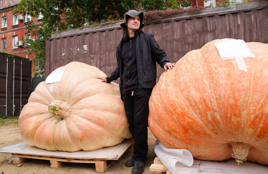 Тыкву весом 969 кг представили на выставке "Овощи-гиганты" 21 фото