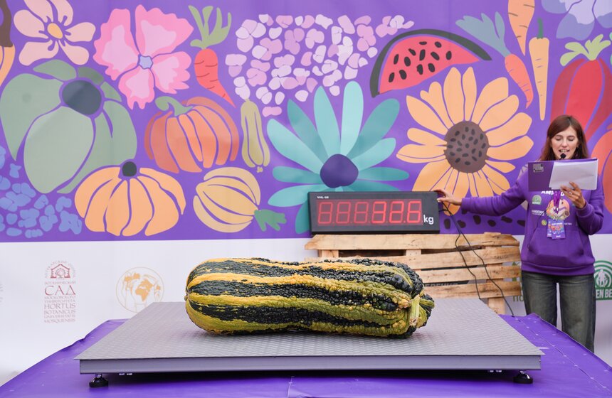 Тыкву весом 969 кг представили на выставке "Овощи-гиганты" 7 фото