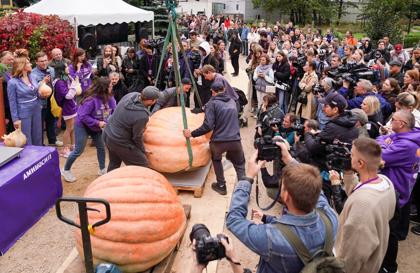 Тыкву весом 969 кг представили на выставке "Овощи-гиганты" 10 фото