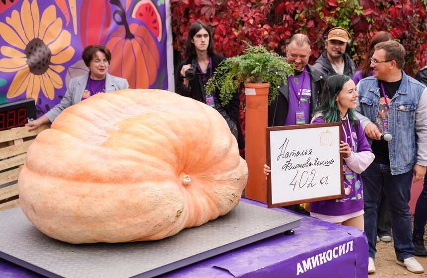 Тыкву весом 969 кг представили на выставке "Овощи-гиганты" 12 фото