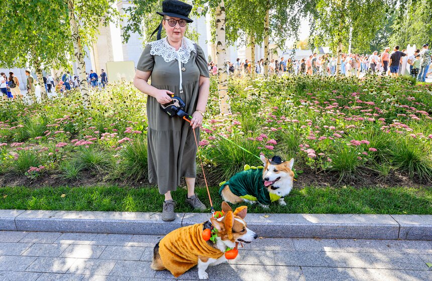 На ВДНХ прошел костюмированный парад корги 7 фото