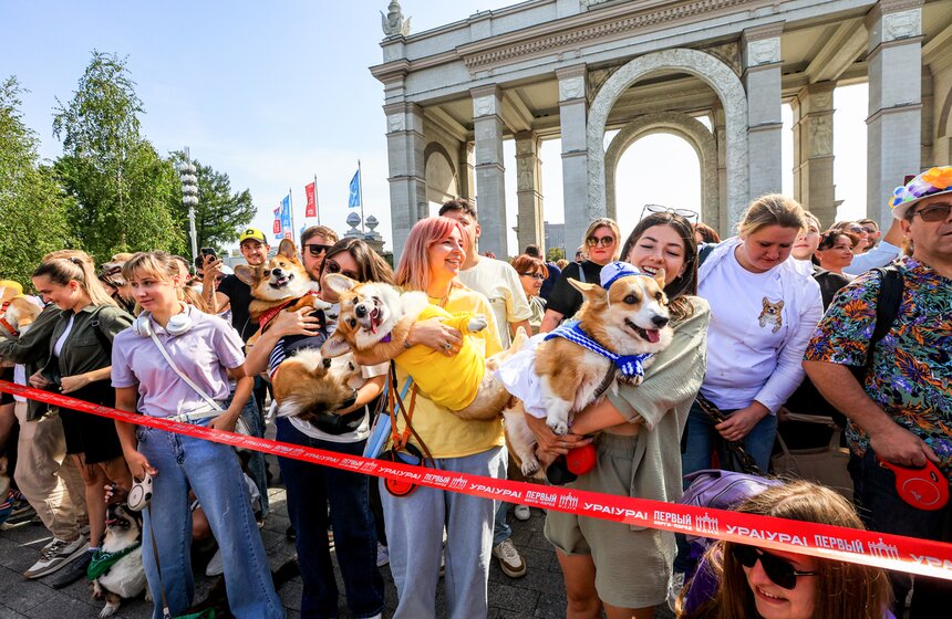 На ВДНХ прошел костюмированный парад корги 2 фото
