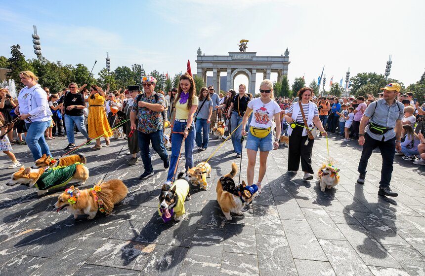 На ВДНХ прошел костюмированный парад корги 13 фото