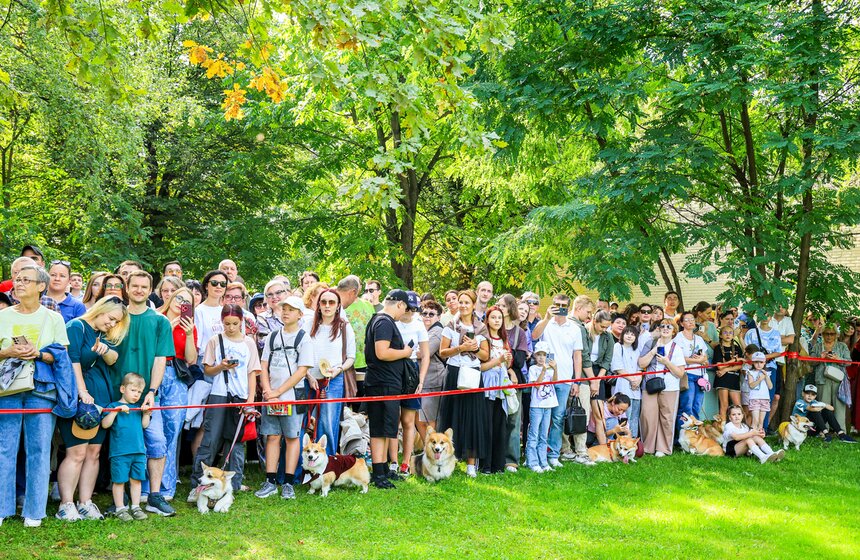 На ВДНХ прошел костюмированный парад корги 17 фото