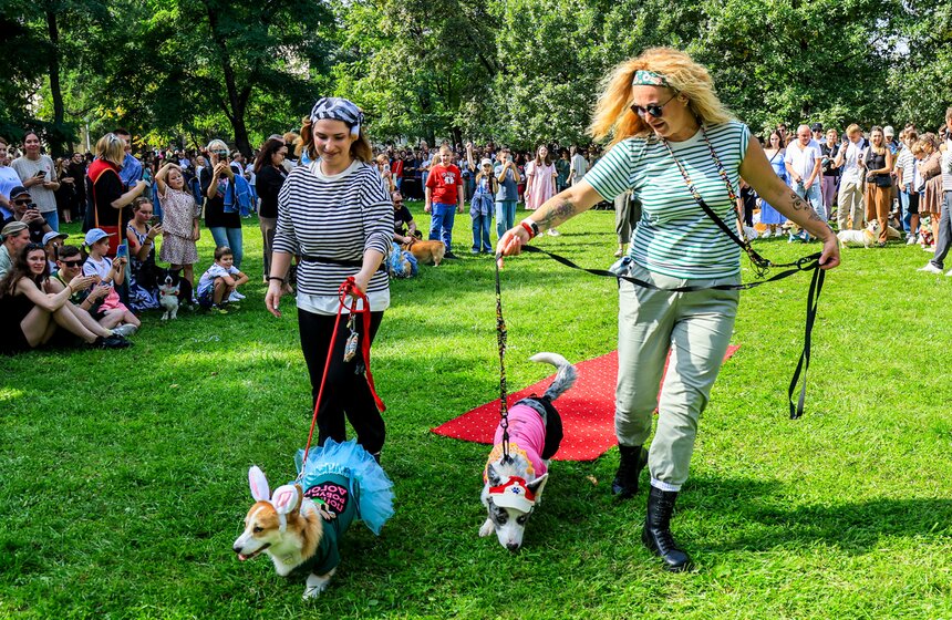 На ВДНХ прошел костюмированный парад корги 18 фото