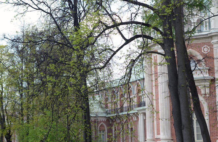 В  "Царицыно" открылась танцевальная площадка 15 фото