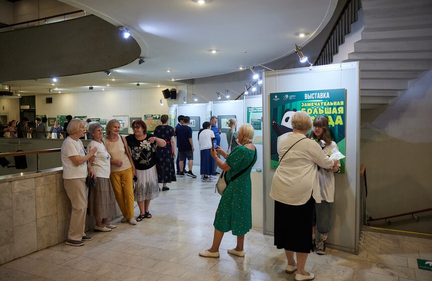 Выставка "Замечательная большая панда" стартовала в Москве 2 фото