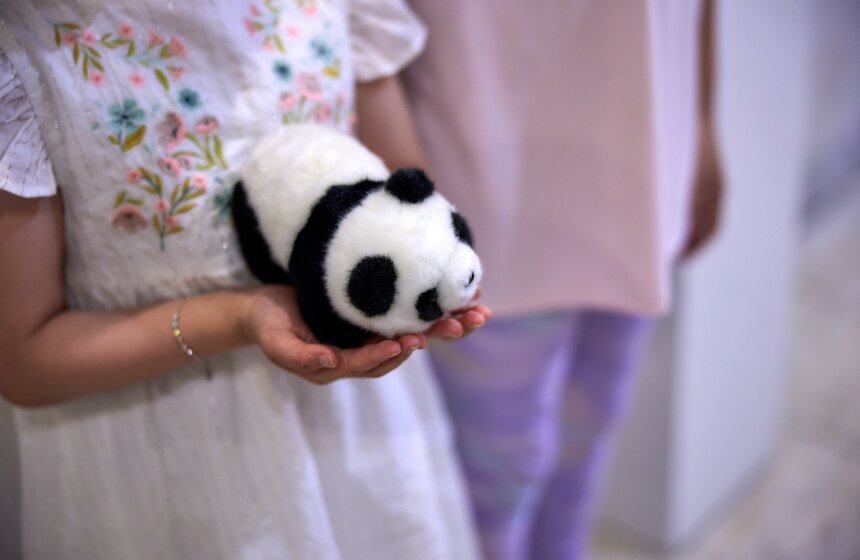 Выставка "Замечательная большая панда" стартовала в Москве 6 фото