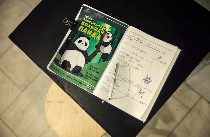 Выставка "Замечательная большая панда" стартовала в Москве 21 фото