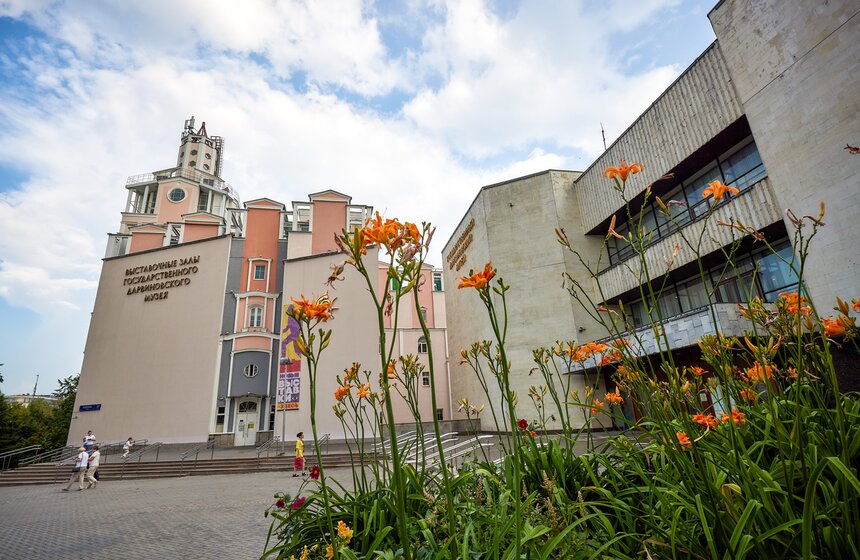 Выставка "Замечательная большая панда" стартовала в Москве 1 фото