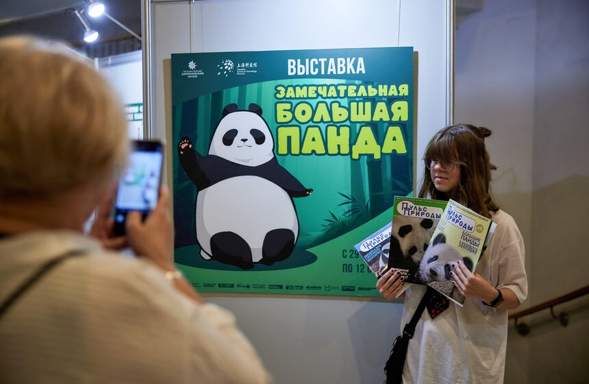 Выставка "Замечательная большая панда" стартовала в Москве 3 фото