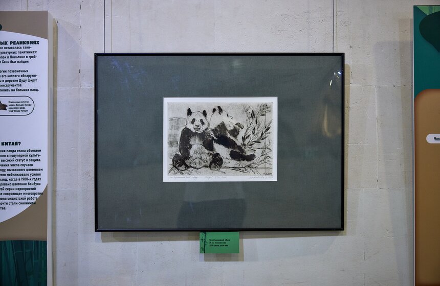 Выставка "Замечательная большая панда" стартовала в Москве 16 фото