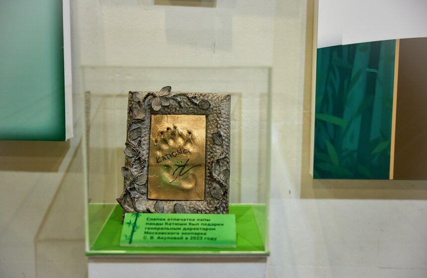 Выставка "Замечательная большая панда" стартовала в Москве 19 фото