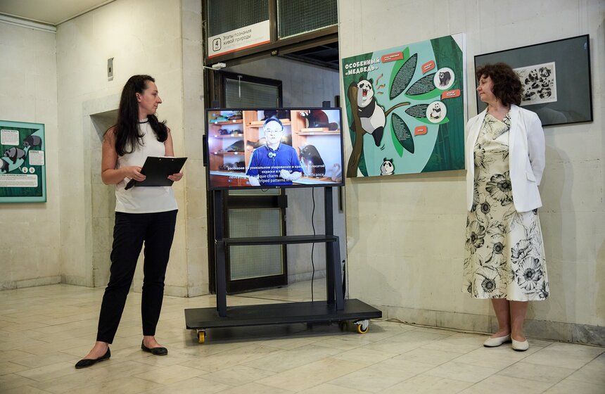 Выставка "Замечательная большая панда" стартовала в Москве 5 фото