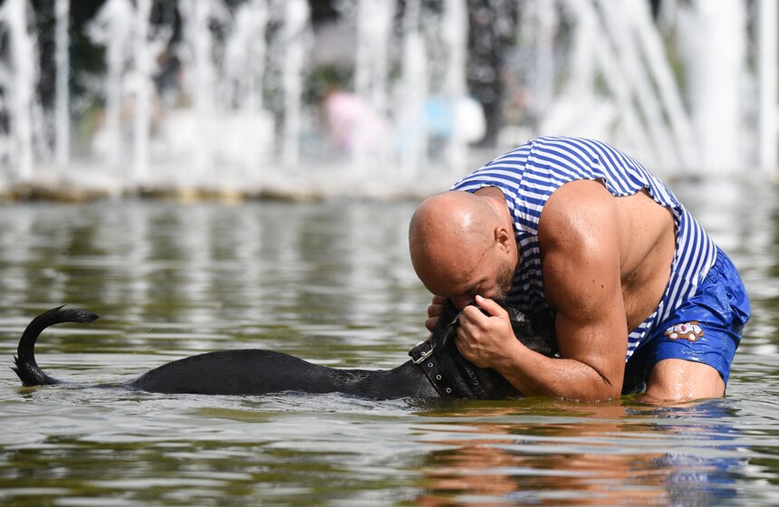 В Парке Горького прошел День ВДВ 35 фото