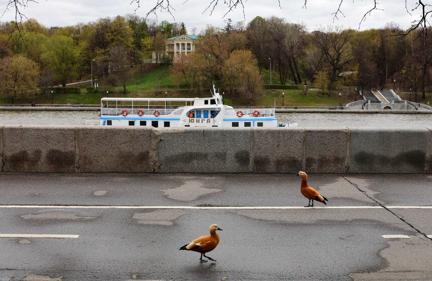 Масштабный парад судов состоялся в Москве к открытию летней речной навигации 8 фото
