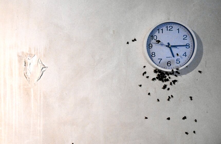 В ЦСИ "Винзавод" открылась выставка Открытых студий "Вы достигли места назначения" 18 фото