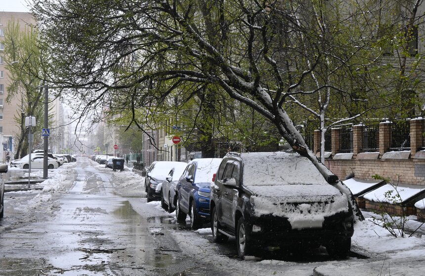 Апрельский снегопад накрыл Москву 9 фото