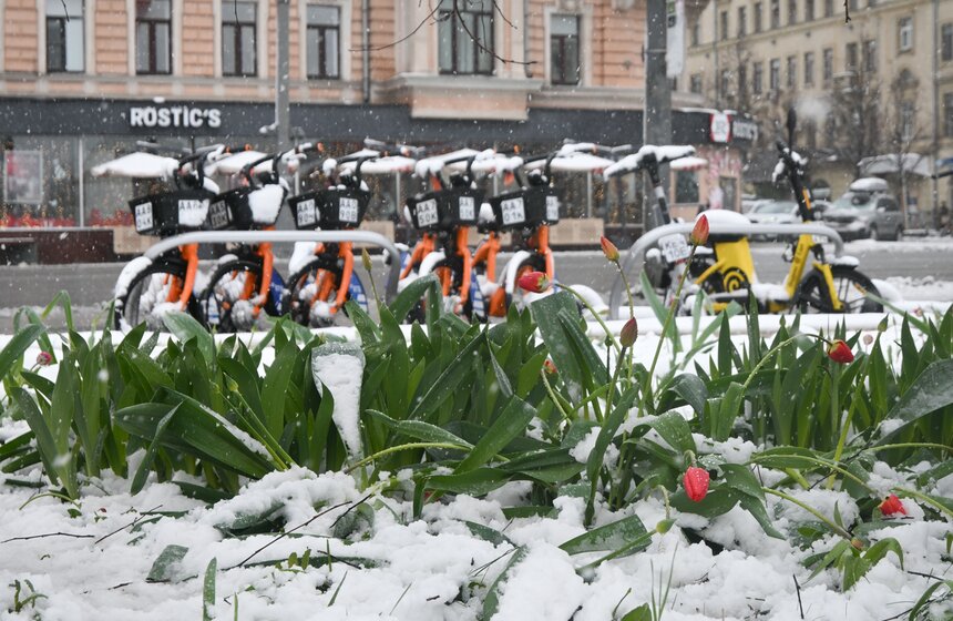 Апрельский снегопад накрыл Москву 14 фото