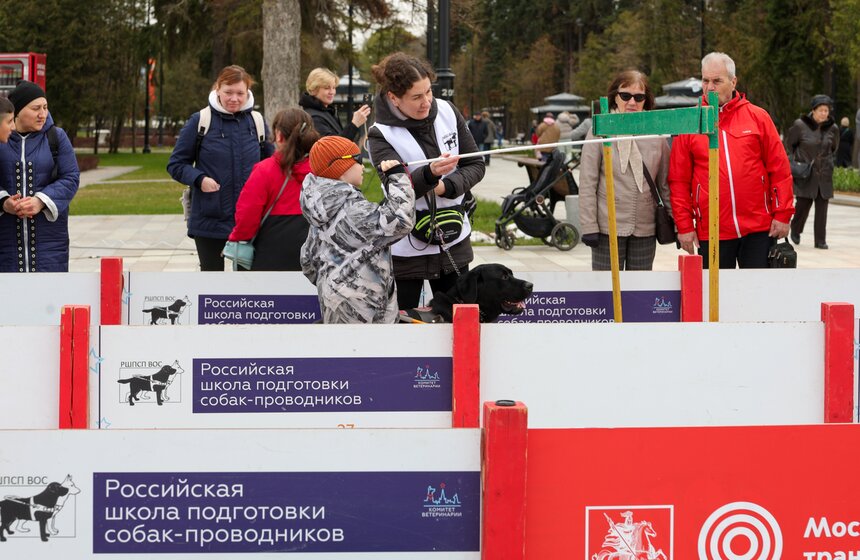 В Москве отметили Международный день собак-проводников 20 фото