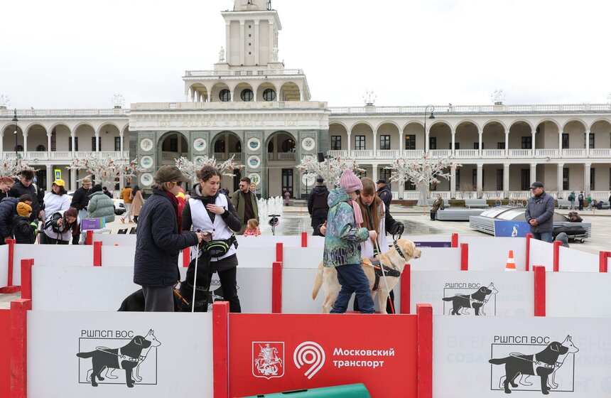 В Москве отметили Международный день собак-проводников 24 фото