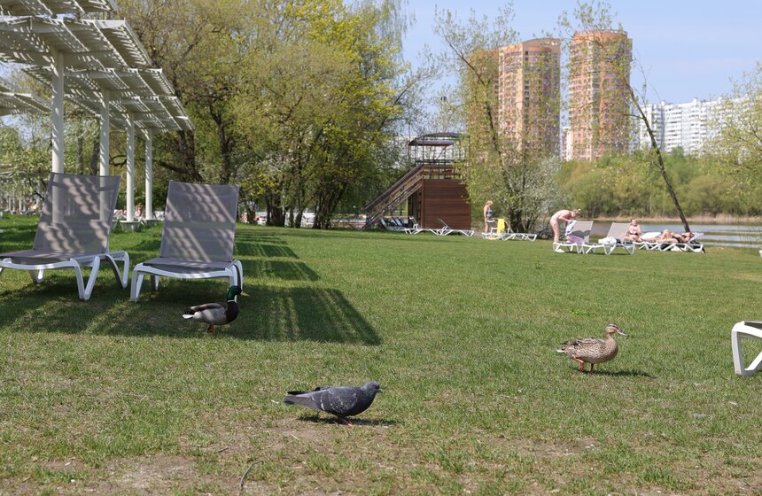 Водоемы Москвы начали готовить к открытию купального сезона 19 фото
