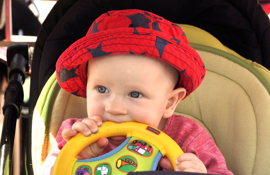 В парке Горького прошел парад колясок 9 фото